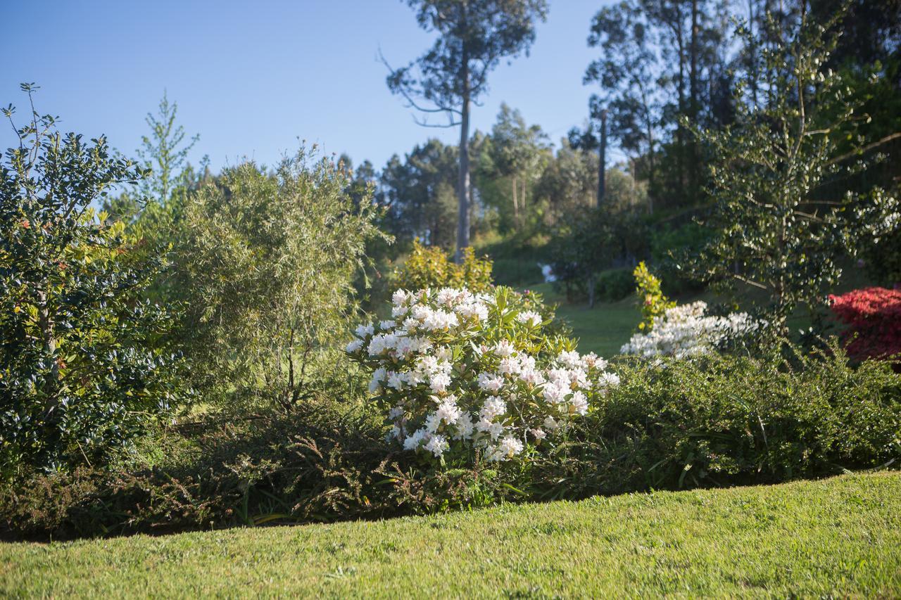 Casa Pineiro Vendégház Monfero Kültér fotó